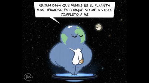 Image: 8560944