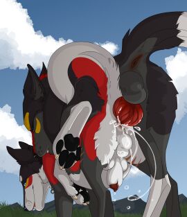 anal anal_sex animal_genitalia animal_penis anus ass balls black_body black_fur black_pawpads blue_eyes blue_sky bodily_fluids canid canine canine_genitalia canine_penis canis closed_eyes cloud cum cum_splatter day doggy_style duo erection fangs feral feral_on_feral feral_penetrated feral_penetrating feral_penetrating_feral from_behind_position fur genital_fluids genitals grass grey_balls grey_body grey_fur hi_res kage_(faolanwolfsavor) knot_in_sheath male male/male male_penetrated male_penetrating male_penetrating_male mammal markings narrowed_eyes outside pawpads penetration penile penile_penetration penis penis_in_ass penis_tip plant red_penis sex sheath sky teeth unbreakable-warrior white_balls white_body white_fur white_sheath wolf yellow_markings yipsky