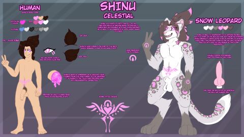 absurd_res animal_genitalia anthro balls balls_tuft barefoot brown_hair cereshinu digitigrade feet felid foreskin front_view fur fur_markings genitals gesture glowing glowing_eyes grey_body grey_fur hair hand_gesture height hi_res highlights_(coloring) human humanoid humanoid_genitalia humanoid_penis knot knotted_penis light_body light_skin male mammal mane markings nude nude_anthro nude_human nude_humanoid pantherine paws penis pink_eyes plantigrade pubes pubic_tattoo pupils reference_image saggy_balls sheath shinu_(cereshinu) snow_leopard solo spots spotted_markings spotted_tail standing stomach_tattoo tail tail_markings tuft uncircumcised v v_sign white_body white_fur white_pupils