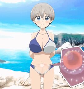 1girls animated big_breasts bikini blue_eyes breasts cum cum_in_pussy cum_inside delayed_impregnation female fertilization grey_hair impregnation pussy siokarubi throbbing_uterus uzaki-chan_wa_asobitai! uzaki_hana