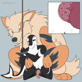 2d_animation ambiguous_fluids anal anal_sex animal_genitalia animal_penis animated anthro anthro_on_feral antoszowa anus arcanine arms_tied balls bound canine_genitalia canine_penis cetacean close-up doggy_style dolphin duo feral frame_by_frame from_behind_position generation_1_pokemon genitals hi_res kneeling male male/male mammal marine nintendo oceanic_dolphin orca paws penetration penis pokemon pokemon_(species) sex smile stomach_bulge teeth toothed_whale zoophilia