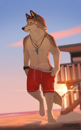 2025 5:8 anthro beach brown_body brown_fur brown_tail bulge canid canine canis clothed clothed_anthro clothed_male clothing cloud digital_media_(artwork) eyewear feet fingers fur glasses hi_res letodoesart male mammal outside sand sky solo tail toes whistle_(object) wolf