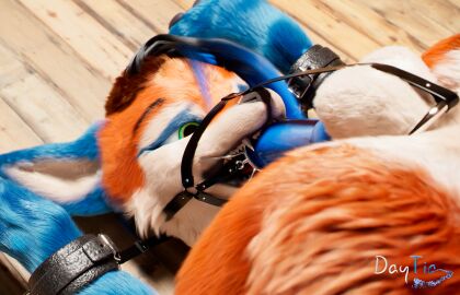 3d animal_genitalia animal_penis anthro autofellatio balls bodily_fluids bondage c4d canine_genitalia canine_penis cinema_4d_(artwork) cum daytia digital_media_(artwork) erection fur genital_fluids genitals hair hi_res knot knotted_penis male masturbation nude oral oral_masturbation penile penile_masturbation penis pose posed rexouium self_bdsm sex solo vrchat white_body white_fur