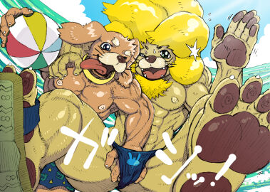 10s 2011 2boys anthro balls bara beach beach_ball canine domestic_dog fur furry furry_only grabbing_balls hastured_cake konnichiwan lion male male_only muscular nipples paws sayonaraionn shorts speedo tagme tongue tongue_out wink yaoi