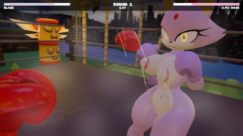 2girls 3d amy_rose areola areola_slip areolae areolae_slip big_breasts big_thighs bikini blaze_the_cat boxing boxing_gloves boxing_ring breasts catfight curvy dodge dodging female female_focus female_only female_pov fight fighting fighting_ring gameplay_mechanics gloves health_bar hud kabalmystic_(style) night open_mouth outdoors pov pov_boxing pov_female princess punch punching purple_boxing_gloves purple_fur purple_gloves red_boxing_gloves red_gloves rngsucks royal royalty ryona sega sling_bikini sonic_(series) sonic_the_hedgehog_(series) swimsuit thick thick_hips thick_thighs thighs white_bikini white_sling_bikini wide_hips yellow_eyes
