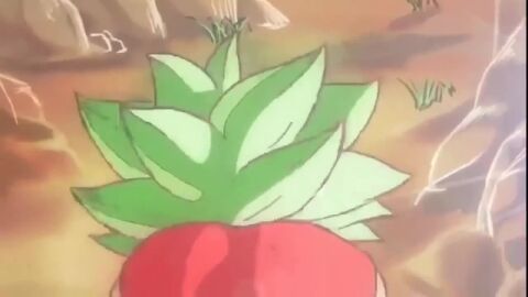 1boy animated anus big_ass big_butt breasts d-art dragon_ball dragon_ball_super earrings female female_focus fusion green_eyes green_hair kefla light-skinned_female light_green_hair light_skin male/female muscular_male potara_earrings pov pov_ass saiyan short_hair son_goku spiky_hair super_saiyan tagme vaginal_penetration vaginal_sex video wide_hips wide_thighs