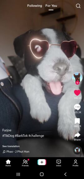 3d_(artwork) animal_genitalia animal_vulva animated blender_cycles border_collie canid canine canis cellphone challenge clothed clothing collie cowgirl_position digital_media_(artwork) domestic_dog duo electronics eyewear female feral feral_penetrated from_front_position furjoe furjoe0 furniture genitals glasses hand_on_head herding_dog hi_res human human_on_feral human_penetrating human_penetrating_feral humanoid interspecies lying male male/female mammal music on_bottom on_top pastoral_dog penetration phone recording riding sex sheepdog short_playtime social_media sofa sound sound_warning synced_to_music tagme tail tiktok tongue tongue_out vaginal_penetration video wearing_glasses zoophilia
