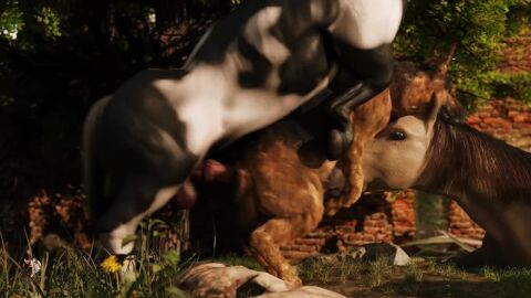 16:9 3d_(artwork) 3d_animation anal anal_sex animal_genitalia animal_penis animated balls bisexual body_part_in_ass body_part_in_mouth bouncing_balls broken_legs canid canine canine_genitalia canine_penis canis clinging digital_media_(artwork) doggy_style domestic_dog equid equine equine_genitalia equine_penis erection fellatio female female_penetrated feral feral_on_feral feral_penetrated feral_penetrating feral_penetrating_feral from_behind_position fur genitals group group_sex horse interspecies knot knotted_penis large_insertion lucky_pierre male male/female male/male male_penetrated male_penetrating male_penetrating_female male_penetrating_male mammal oral oral_penetration oral_while_penetrated penetration penile penile_penetration penis penis_in_ass penis_in_mouth realistic_feral sex short_playtime sound tagme threesome trio trioami260 video widescreen