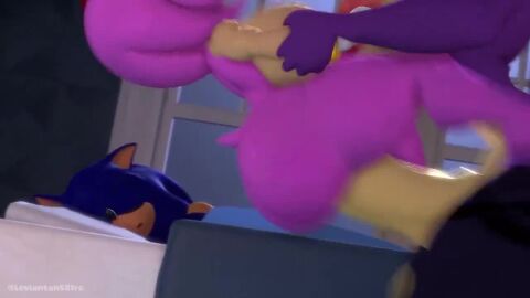 1boy 1futa 1girls 3d 3d_animation ambiguous_penetration amy_rose animated animated_gif asleep ass ass_clapping bed bedroom big_dom_small_sub blanket blue_fur couch_co-op cuck cucked_by_futa cucked_by_mother cuckold cuckolding ear_twitch fast_thrusts female femsub futa_on_female futadom futanari gif hedgehog hedgehog_boy hedgehog_ears hedgehog_girl hedgehog_humanoid holding_arms in_front_of_cuckold intersex larger_futa leviantan581re male no_sound open_mouth pink_fur purple_fur queen_aleena queen_aleena_hedgehog rough_sex size_difference smaller_female sonic_(series) sonic_the_hedgehog sonic_the_hedgehog_(series) sonic_underground tagme thrusting thrusting_fast thrusting_hard video video_game video_game_character video_game_franchise video_games voluptuous voluptuous_anthro voluptuous_body voluptuous_dickgirl voluptuous_futa voluptuous_futanari