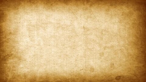 Image: 8464943