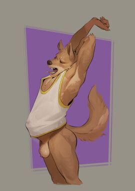 1boy absurd_res anthro balls bottomless canid canine clothed clothing erection genitals hi_res humanoid_genitalia kaynine male male_only mammal morning_wood open_mouth original_character penile penis shirt shirt_bulge simple_background solo stretching tail tank_top teeth tongue topwear yawn