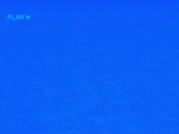 1boy 3d 4:3 accurate_art_style analog_porn animated animatronic animatronic_suit chica chica_(fnaf) classic_chica classic_chica_(fnaf) deactivated erection eyes_closing eyes_half_open face_fucking faceless_male female five_nights_at_freddy's five_nights_at_freddy's_(film) human human_on_robot implied_rape lifeless lifeless_eyes longer_than_10_seconds longer_than_30_seconds longer_than_one_minute male morado_arts mp4 multiple_angles penis purple_eyes rubbing_penis_on_face sex shieldshroud shirt size_difference smaller_male sound sound_edit sound_effect sound_effects sound_warning straight tagme thick_legs thick_thighs thighs unconventional_penetration vhs_filter video voice voice_acted you_would_do_this_dont_lie