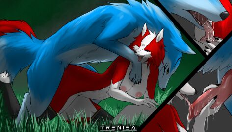 animal_genitalia anthro anthro_on_feral blue_body blue_fur canid canine canis collie cunnilingus domestic_dog duo female feral from_behind_position fur genitals herding_dog hi_res knot licking male mammal multicolored_body multicolored_fur one_eye_closed oral pastoral_dog penile penis penis_lick pussy scarlett_valita sex sheepdog tongue tongue_out treniea vaginal_penetration wolf zoophilia