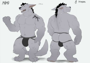 anthro biceps bulge clothing ear_piercing flaccid fleshformomo fur hi_res hyena jockstrap male male_only mammal model_sheet momo_(fleshformomo) muscular muscular_anthro muscular_male pawpads penis piercing solo solo_male taim underwear