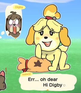 animal_crossing animal_genitalia animal_penis anthro balls bells_(animal_crossing) bent_over blush breast_squish breasts brother brother_and_sister canid canine canine_genitalia canine_penis canis digby_(animal_crossing) domestic_dog female fur genitals hair half-erect hi_res incest isabelle_(animal_crossing) male male/female mammal nintendo nipples nude otterbutts penis sheath shih_tzu sibling sister squish surprised_expression tail teasing toy_dog yellow_body yellow_fur