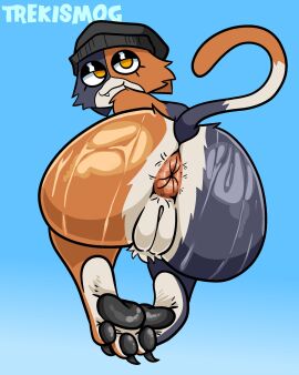 anthro ass big_butt black_claws black_clothing black_hat black_headwear blue_background brown_anus brown_body brown_fur claws clothing domestic_cat epic_games eyelashes feet felid feline felis female fortnite fur genitals grey_body grey_fur hat hat_only headgear headgear_only headwear headwear_only hi_res huge_butt looking_at_viewer looking_back looking_back_at_viewer mammal meow_skulls mostly_nude nude orange_eyes pawpads plump_labia pussy rear_view simple_background snaggle_tooth solo trekismog vulva white_body white_fur