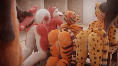 3d animal_genitalia animal_penis anthro ass ass_focus athletic athletic_anthro athletic_female balto_(series) bent_over black_hair black_pussy brown_body brown_fur butt_focus canid canine canine_genitalia canine_penis canis cheek_tuft cheetah chenira_(johnwulffe) claws countershading digital_media_(artwork) domestic_dog dreamworks eyewear facial_markings facial_tuft felid feline felis female female_focus fur genitals glasses group guarez_(johnwulffe) hair hand_on_penis head_markings hi_res holding_penis husky imminent_sex inside jenna_(balto) johnwulffe knot kung_fu_panda locker_room long_hair looking_at_another looking_back male male/female mammal maned_wolf markings master_tigress masturbation muscular muscular_anthro muscular_female nordic_sled_dog orange_eyes pantherine penis pink_pussy ponytail pussy red_body red_fur red_penis shower_room spitz spots spotted_body spotted_fur standing striped_body striped_fur stripes tail tiger tongue tongue_out tuft universal_studios whiskers yellow_body yellow_eyes yellow_fur yellow_sclera