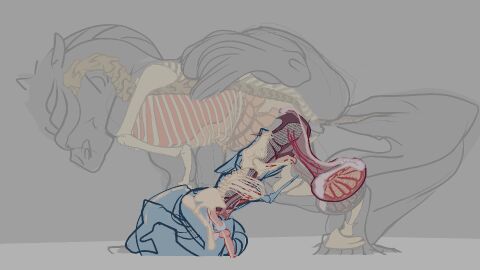 2d anal anatomically_correct anatomically_correct_genitalia anatomically_correct_penis animal_genitalia animal_penis animated anthro anthro_on_feral anthro_penetrated balls balls_deep balls_size_difference big_balls big_penis bodily_fluids bone bouncing_balls bouncing_penis canid canine canis collarbone deepthroat digital_media_(artwork) duo epididymis equid equine equine_genitalia equine_penis erection esophagus face_fucking fellatio feral feral_penetrating feral_penetrating_anthro flared_penis forced_anal fur genital_fluids genitals gif guts horse horsecock huge_balls huge_cock inside internal internal_organs interspecies intestines large_insertion larger_feral larger_male ld loop lostdragon01 male male/male male_on_anthro male_on_feral male_penetrated male_penetrating male_penetrating_male mammal naked november nude oral organs penetration penile penile_penetration penis penis_bigger_than_torso ridiculous_fit sex short_playtime size_difference skeleton smaller_anthro smaller_male smaller_penetrated solo_focus stomach stomach_bulge tan_body tan_fur throat_fuck thrusting_into_mouth tight_fit wolf x-ray x-ray_view zoophilia