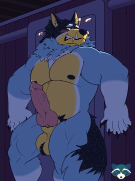 2024 absurd_res after_transformation animal_genitalia animal_penis anthro areola australian_cattle_dog balls bandit_heeler bara belly biceps big_balls big_muscles big_penis bluey_(series) blush bodily_fluids canid canine canine_genitalia canine_penis canis cattledog claws clenched_teeth dark domestic_dog door erection eyebrows fur genital_fluids genitals halloween herding_dog hi_res holidays huge_muscles hybrid inside kazusealcoon knot male mammal musclegut muscles muscular muscular_anthro muscular_male mythological_canine mythological_creature mythology narrowed_eyes navel nipples nude pastoral_dog pecs penis post-transformation precum pubes sharp_teeth sheath solo standing teeth thick_arms thick_penis thick_thighs transformation tuft vein watermark werecanid werecanine werecreature werewolf yaoi