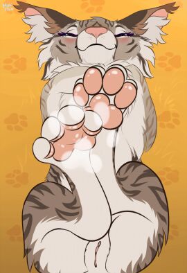 2d_animation animated beanshaped feet_focus felid feline female genitals hi_res lynx mammal mohitopaw pawpads paws pussy raised_paw solo solo_feral tail