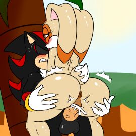 anthro anus ass ass_grab big_ass big_butt bodily_fluids butt_grab cream_the_rabbit cum cum_in_pussy cum_inside duo ejaculation female genital_fluids genitals grope hand_on_ass hand_on_butt hi_res male male/female penetration pussy sega shadow_the_hedgehog sonic_(series) sonic_the_hedgehog_(series) soulyagami64 thick_thighs vaginal_fluids vaginal_penetration