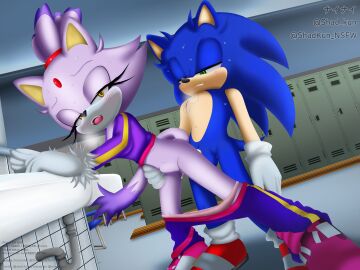 absurd_res anthro bent_over blaze_the_cat blush bodily_fluids bottomwear bottomwear_down breath clothed clothing doggy_style domestic_cat duo eulipotyphlan felid feline felis female from_behind_position genitals hair hand_on_hip hedgehog hero hi_res lidded_eyes locker locker_room locker_room_sex male male/female mammal mario_and_sonic_at_the_olympic_games panties panties_down pants pants_down partially_clothed penis ponytail princess royalty sega sex shad-kun sink sonic_the_hedgehog sonic_the_hedgehog_(series) standing standing_doggystyle standing_sex stomach_bulge sweat tracksuit underwear underwear_down