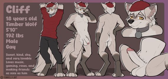 anthro balls big_penis blush bottomwear clothing collar collar_only english_text gay gay_anal gay_male gay_sex genitals hat headgear headwear hi_res homosexual homosexual_male hoodie humanoid_genitalia humanoid_penis male male/male male_anthro male_penetrated model_sheet nude pants penis reference_image smile smirk solo solo_male spread_legs spreading tenkellyart text topwear