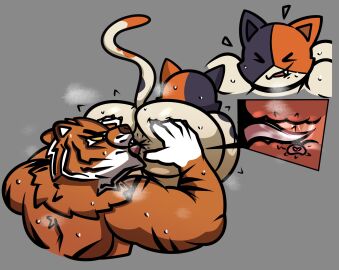 anal anthro anus ass bent_over bite biting_lip biting_own_lip bodily_fluids calico_cat completedlemon domestic_cat duo epic_games felid feline felis fortnite fur hi_res internal male male/male mammal meowscles meowscles_(fortnite) multicolored_body multicolored_fur musk musk_clouds oral oscar_(fortnite) pantherine rimming sex spread_ass spread_butt spreading sweat tail tiger x-ray