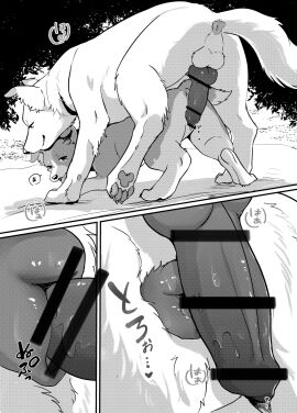 2023 anatomically_correct anatomically_correct_genitalia anatomically_correct_penis anatomically_correct_pussy animal_genitalia animal_penis animal_pussy anus azu_(momou_fox) balls black_and_white bodily_fluids canid canine canine_genitalia canine_penis canine_pussy canis censored comic digital_media_(artwork) domestic_dog duo erection female female_penetrated feral feral_on_feral feral_penetrated feral_penetrating feral_penetrating_feral fluffy fluffy_tail from_behind_position fur genital_fluids genital_focus genitals hi_res ineffective_censorship intraspecies japanese_text knot larger_male licking lying male male/female male_penetrating male_penetrating_female mammal markings momou monochrome on_back oral pawpads paws penetration penile penile_penetration penis precum pussy quadruped rear_view sex shallow_penetration short_tail size_difference smaller_female tail tail_markings text tongue translation_request vaginal_penetration