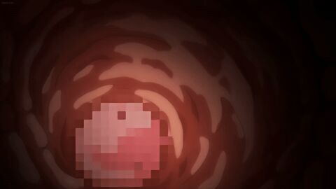 animated censored cum cum_in_pussy cum_in_uterus cum_inside female futa_on_female futanari inside_view intersex oujo_&_onna_kishi_w_dogehin_roshutsu_~chijoku_no_misemono_dorei~ pussy womb x-ray