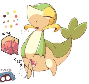 Image: 591146