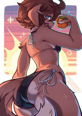 2024 anthro ass bikini bikini_bottom bikini_top blue_eyes border breasts brown-haired_female brown_body brown_fur brown_hair brown_tail canid canine canis clothing coffeechicken countershade_torso countershading dog_ears dog_girl dog_tail domestic_dog female female_focus female_only fingers food fruit fur furry furry_female hair hi_res holding_food holding_fruit holding_object kess_(coffeechicken) looking_at_viewer looking_back looking_back_at_viewer low-angle_view mammal original original_character plant rear_view short-haired_female short_hair side_boob small_breasts solo swimwear tail teeth thighs two-piece_swimsuit white_border