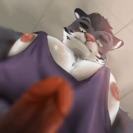 1:1 animated anthro big_muscles big_pecs black_hair blurred_foreground ceiling clothing edric(summer_paradise_fvn) felid fur genitals green_eyes hair huge_pecs humanoid_genitalia humanoid_penis lime_eyes low-angle_view male mammal multicolored_body multicolored_fur muscular nervous nipples pantherine paradise pecs penis pink_nose purple_clothing purple_shirt purple_tank_top purple_topwear selfie shirt solo stampmats tank_top tiger topwear