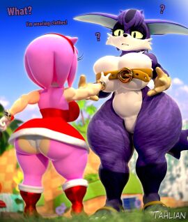 2girls 3d_(artwork) amy_rose ass belt big_ass big_breasts big_the_cat biggie_(female_big) boots bracelet breasts dress featureless_crotch female furry genderswap genderswap_(mtf) gloves panties rule_63 sandals sega sonic_(series) tahlian thick white_panties