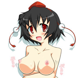 Image: 3060210