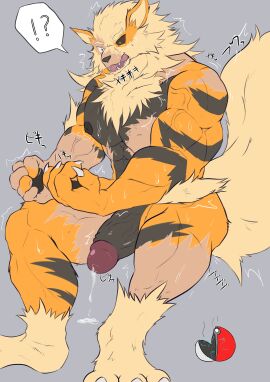 absurd_res anthro arcanine big_penis bodily_fluids canid canine dripping erection fur fur_growth generation_1_pokemon genital_fluids genitals geryorias growth hi_res huge_cock humanoid_genitalia humanoid_penis male male_focus male_only mammal muscles muscular muscular_anthro muscular_male nintendo nipples open_mouth penis pokeball pokemon pokemon_(species) precum precum_drip simple_background solo species_transformation sweat text thick_penis transformation vein veiny_muscles veiny_penis yellow_body yellow_eyes yellow_fur