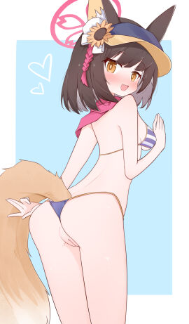 absurdres animal_ear_fluff animal_ears bikini blue_archive blue_background breasts brown_eyes brown_hair commentary_request cute_fang female female_only flower fox_ears fox_girl fox_tail from_behind gu_meng_yin halo heart highres izuna_(blue_archive) izuna_(swimsuit)_(blue_archive) looking_at_viewer medium_breasts official_alternate_costume petite pussy red_halo red_scarf scarf short_hair solo solo_female striped_bikini striped_clothes sunflower swimsuit tail two-tone_background uncensored visor_cap white_background