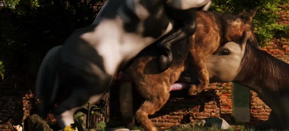 16:9 3d_(artwork) 3d_animation ambiguous_feral ambiguous_gender anal anal_sex animal_genitalia animal_penis animated ball_focus balls bisexual body_part_in_ass body_part_in_mouth bouncing_balls broken_legs canid canine canine_genitalia canine_penis canis clinging digital_media_(artwork) doggy_style domestic_dog duo_focus equid equine equine_genitalia equine_penis erection fellatio female female_penetrated feral feral_on_bottom feral_on_feral feral_on_top feral_penetrated feral_penetrating feral_penetrating_feral from_behind_position fur genital_focus genitals group group_sex horse huge_filesize interspecies knot knotted_penis large_insertion low-angle_view lucky_pierre male male/female male/male male_feral male_penetrated male_penetrating male_penetrating_female male_penetrating_male mammal oral oral_penetration oral_while_penetrated penetration penile penile_penetration penis penis_focus penis_in_ass penis_in_mouth realistic_feral sex short_playtime sound tagme threesome trio trioami260 underside_view video widescreen worm's-eye_view