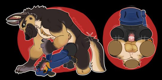 2021 2boys american_black_bear anthro anthro_on_anthro anthro_penetrated anthro_penetrating anthro_penetrating_anthro balls bear biped black_bear blush bottomless canid canine canis clitoris clothed clothing cuntboy cuntboy/male cuntboy_anthro cuntboy_penetrated digital_media_(artwork) domestic_dog duo enlarged_clitoris erection genitals german_shepherd herding_dog heterochromia hoodie humanoid_genitalia humanoid_pussy intersex intersex/male intersex_anthro intersex_penetrated male male_anthro male_penetrating male_penetrating_cuntboy male_penetrating_intersex mammal muscular muscular_anthro muscular_male nub_tail pastoral_dog penetration penile penile_penetration penis penis_in_pussy pussy sex shirt_grab size_difference topwear ursine vaginal_penetration yamato_burr yamatopawa