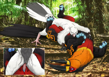 animal_genitalia anthro avian bird bodily_fluids closed_eyes columbid cum cum_in_pussy cum_inside cum_on_penis duo female feral from_front_position genital_fluids genital_slit genitals gryphon hybrid lying male male/female missionary_position mythological_avian mythological_creature mythology on_back open_mouth outside outside_sex pawpads penetration penis pigeon pussy sex shack_(artist) size_difference toucan vaginal_penetration