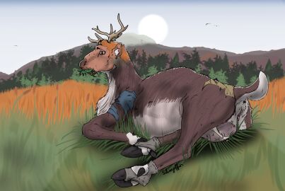 absurd_res animal_genitalia animal_pussy animal_vagina antlers anus cervine_genitalia cervine_pussy clothing cloven_hooves deer eating_grass female feral footwear furry furry_only gender_transformation genitals hi_res hooves horn human_to_feral lying mammal mtf_transformation nature new_world_deer on_grass on_ground on_side outside pregnant pregnant_female pregnant_feral pussy reindeer silvergriffin21 socks solo species_transformation tail teats torn_clothing transformation udders