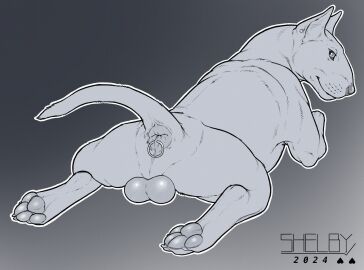 anal_piercing anus balls big_anus boaz_(darkmare) bulging_balls bull_terrier canid canine canis domestic_dog ear_piercing feral hi_res hindpaw hunting_dog looking_at_viewer looking_back male mammal muscular paws piercing presenting presenting_anus raised_tail seductive sketchy_shelby solo sploot spread_legs spreading tail terrier thick_thighs