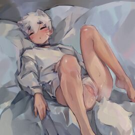 1boy ass briefs cat_boy cat_ears catboy choker cuntboy gay gay_male intersex male onehimbo original original_character painting_(artwork) panties pussy pussy_juice shirt sleeping sweatshirt tail thighs twink underwear wet wet_pussy whisker_markings white_hair yaoi
