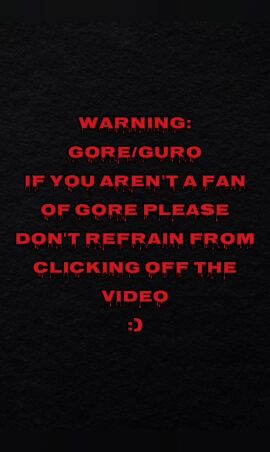 ai_generated ai_video ai_voice ai_voice_acted animated blonde_hair blue_eyes death exposed_areola exposed_areolae exposed_areolas exposed_breasts exposed_nipple exposed_nipples firearm gore gun guro head_explosion killed murdered sabrina_carpenter shotgun small_boobs small_breasts small_tits tagme topless unbuttoned unbuttoned_shirt video violence