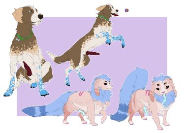 2024 absurd_res animal_genitalia animal_penis ball_(object) balls bodily_fluids canid canine canis cheek_tuft chest_tuft cocoach3rry collar dawn_(cocoach3rry) digital_media_(artwork) domestic_dog facial_tuft feral floppy_ears fluffy fur genital_fluids genitals hi_res hybrid jumping knot long_tail male mammal mane multi_eye myles_(cocoach3rry) mythological_creature mythology pawpads penis pink_pawpads precum sheath simple_background sitting solo spots tail teeth tongue tongue_out tuft