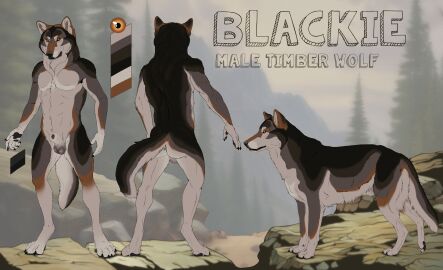 absurd_res animal_genitalia anthro balls black_body black_fur brown_markings canid canine canis feral front_view fully_sheathed fur genitals grey_balls grey_body grey_fur hi_res kodaac male male_anthro male_feral mammal markings model_sheet mouth_closed nude orange_eyes outside rear_view rock sheath side_view solo standing wolf