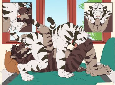 69_position anal anthro arcticlion balls beard cutaway drake_(drakesomething) duo extinct facial_hair facial_piercing felid fellatio genitals holding_tail humanoid_genitalia male male/male male_anthro mammal nose_piercing oral pantherine penile penis piercing prehistoric_species rimming roantiger saber-toothed_tiger sex side_view tail tiger