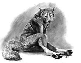 Image: 627684