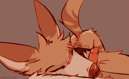 2025 2d_animation animated anthro ass_up biped black_nose blep bottomless bottomless_anthro bottomless_male brown_body brown_fur canid canine canis cantio_(lawyerdog) closed_eyes clothed clothing coyote digital_media_(artwork) duo erection fur genitals humanoid_genitalia humanoid_penis lawyerdog loop male male/male male_anthro mammal multicolored_body multicolored_fur penis tail tail_motion tailwag tan_body tan_fur tongue tongue_out