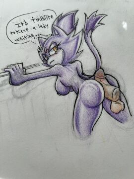 blaze_the_cat color dialogue female sonic_(series) tastefulanatomy traditional_art